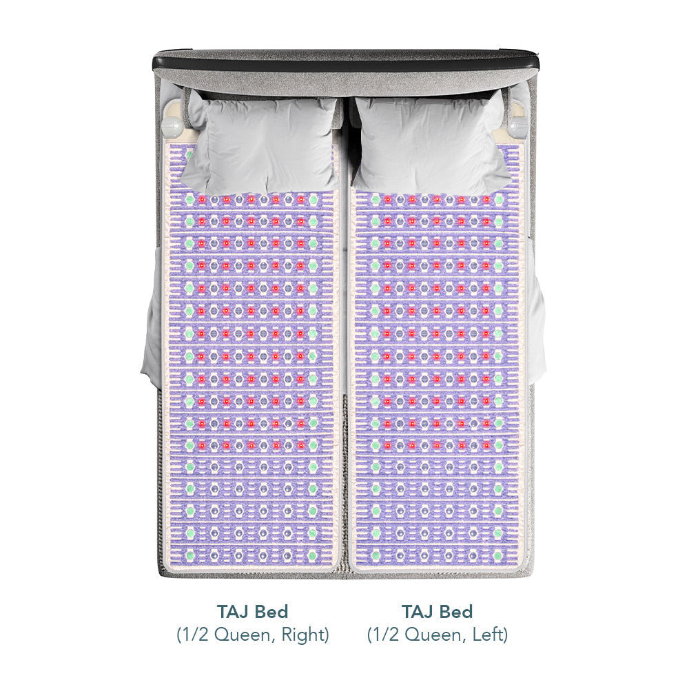 The TAJ Bed Series - Mattress Toppers