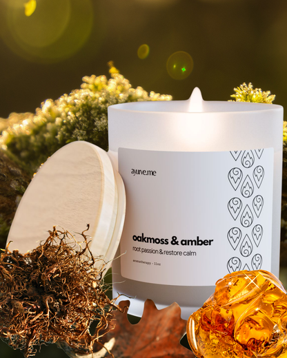 Oakmoss & Amber Soy Candle | Earth-Reset Aromatherapy – 11 oz
