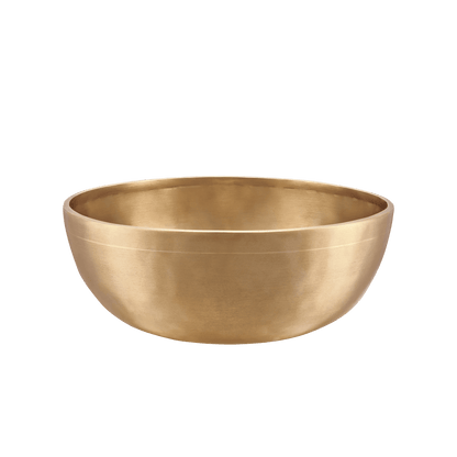 Chakra Metal Singing Bowl Set - 7 Handmade Sound Healing Bowls